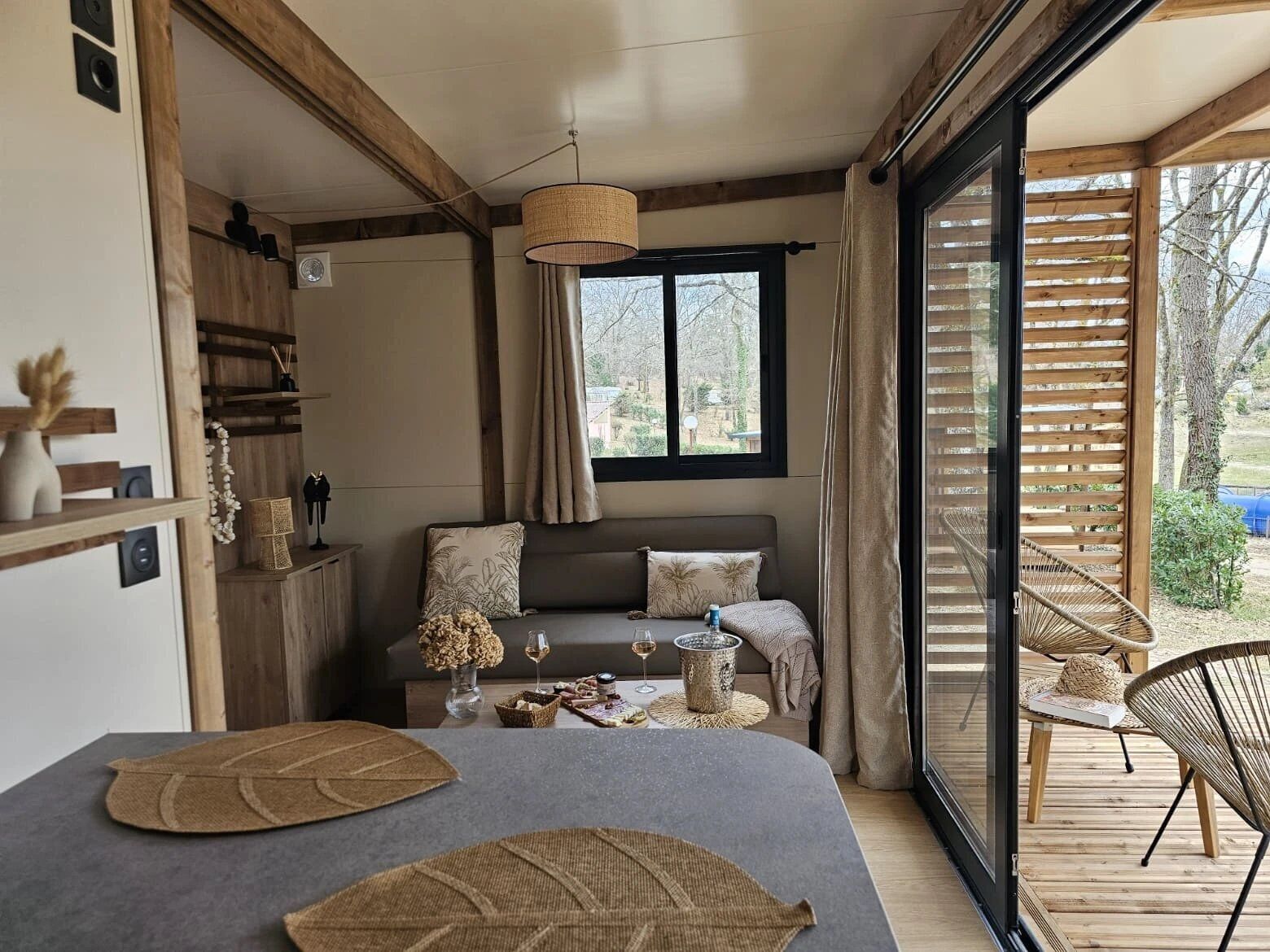 Télévision, table de tennis de table