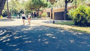 Ein gepflasterter Weg mit von Bäumen geworfenen Schatten, ein Gebäude mit der Beschriftung 