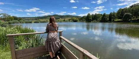 Àrea exterior de l'allotjament