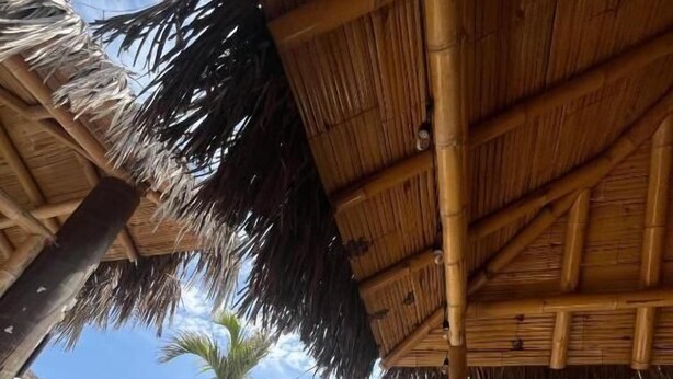Vista de un área de piscina con techo de paja, sillas de descanso y una piscina.