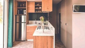 Private kitchen - ZEcamping parc aquatique pet friendly club enfant mobil-home TV LV BBQ (Saint-Hilaire-de-Riez)