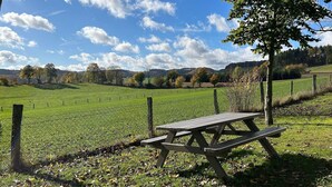 A picnic table in a grassy field with a fence, trees, and a clear sky.