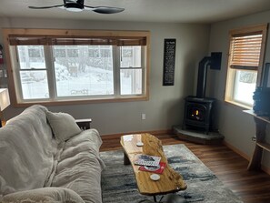 Smart TV, fireplace, books