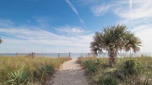 Ein sandiger Pfad führt zu einem Strand mit einer Palme und Küstengewächsen.