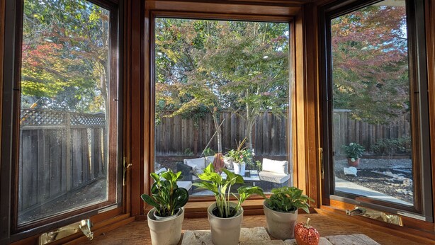 A room with large windows overlooking a backyard with a wooden fence and potted plants.