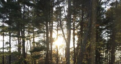 A beautiful 4 BDR home, newly renovated and close to everything!