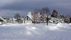 Un paisaje nevado con una casa y árboles.