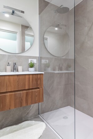 Shower, hair dryer, bidet, towels