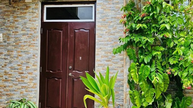 A brown door with a window, a stone wall, and potted plants in front.