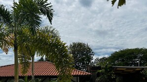 Área da piscina com espreguiçadeiras, palmeiras e um edifício com telhado de telhas vermelhas.