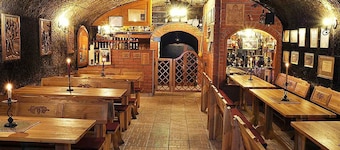 Holiday home with infra sauna and whirlpool in the immediate vicinity of wine cellars