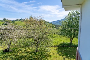 Property grounds - Beautiful Rural House in Nava (Nava)