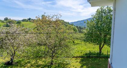 Beautiful Rural House in Nava