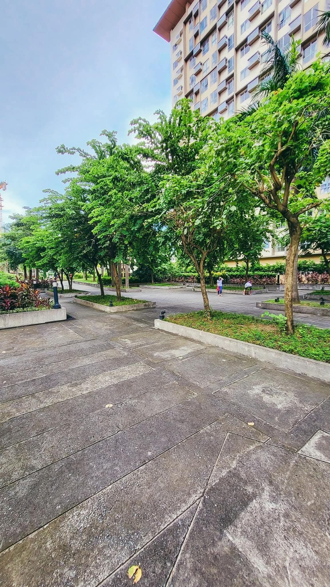 Un amplio espacio al aire libre con un sendero pavimentado, rodeado de frondosos árboles verdes y un edificio alto al fondo.