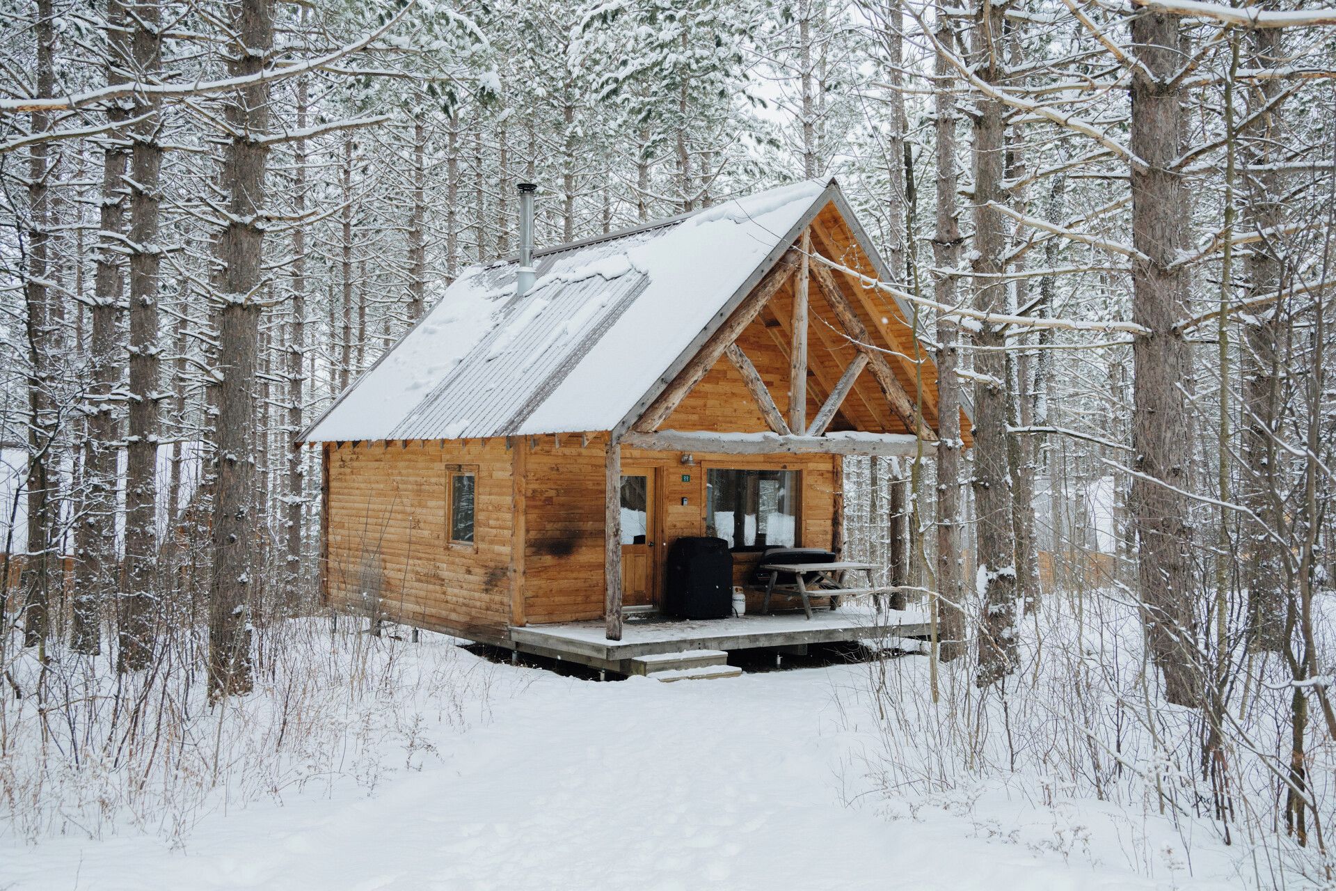 Una cabaña de madera con un porche, rodeada de árboles cubiertos de nieve.