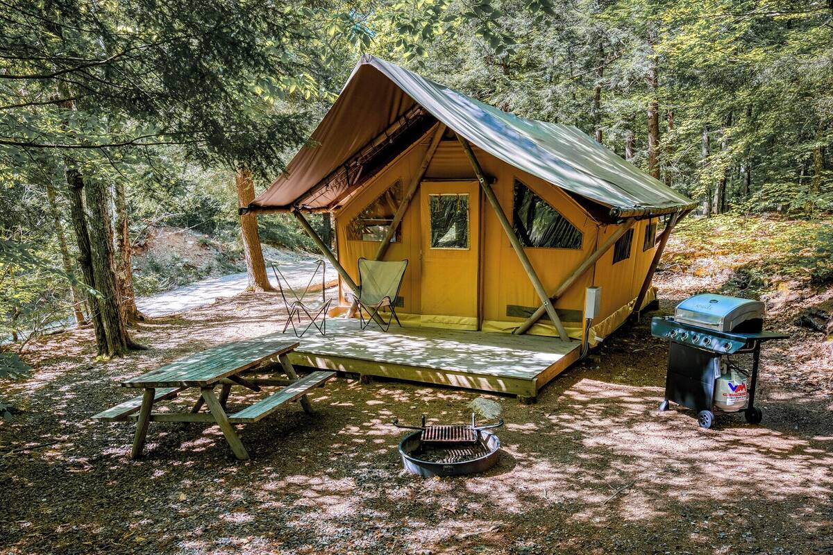 Une petite cabane jaune avec une véranda, un barbecue et des toilettes portables, située dans un cadre forestier.