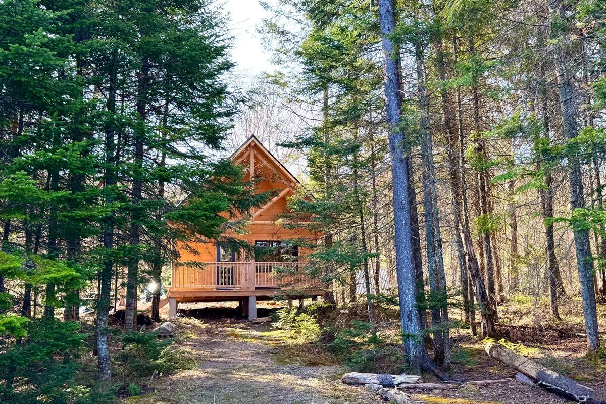Une cabane en bois entourée d’une forêt dense.