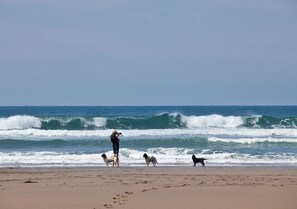Playa