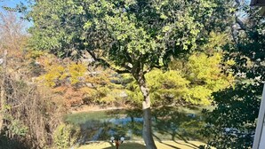 Vista de un estanque rodeado de árboles y una zona cubierta de césped.