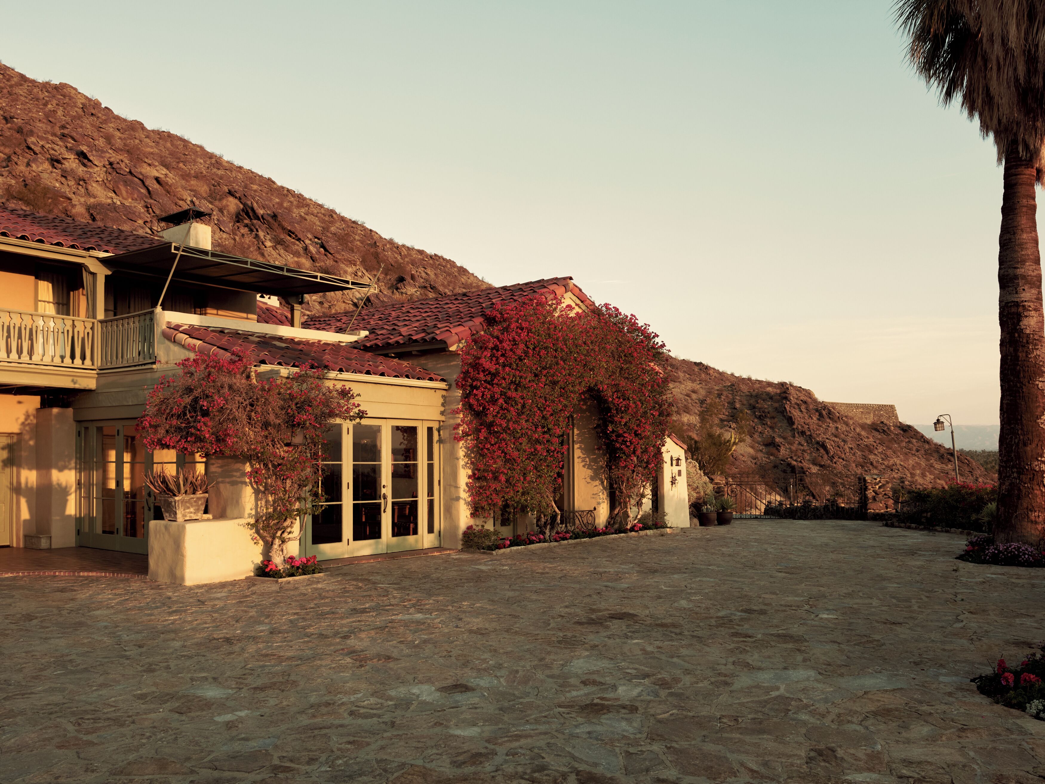 Photo - The Willows Palm Springs