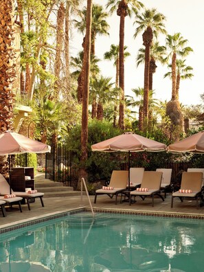 Outdoor pool - The Willows Palm Springs  (Palm Springs)