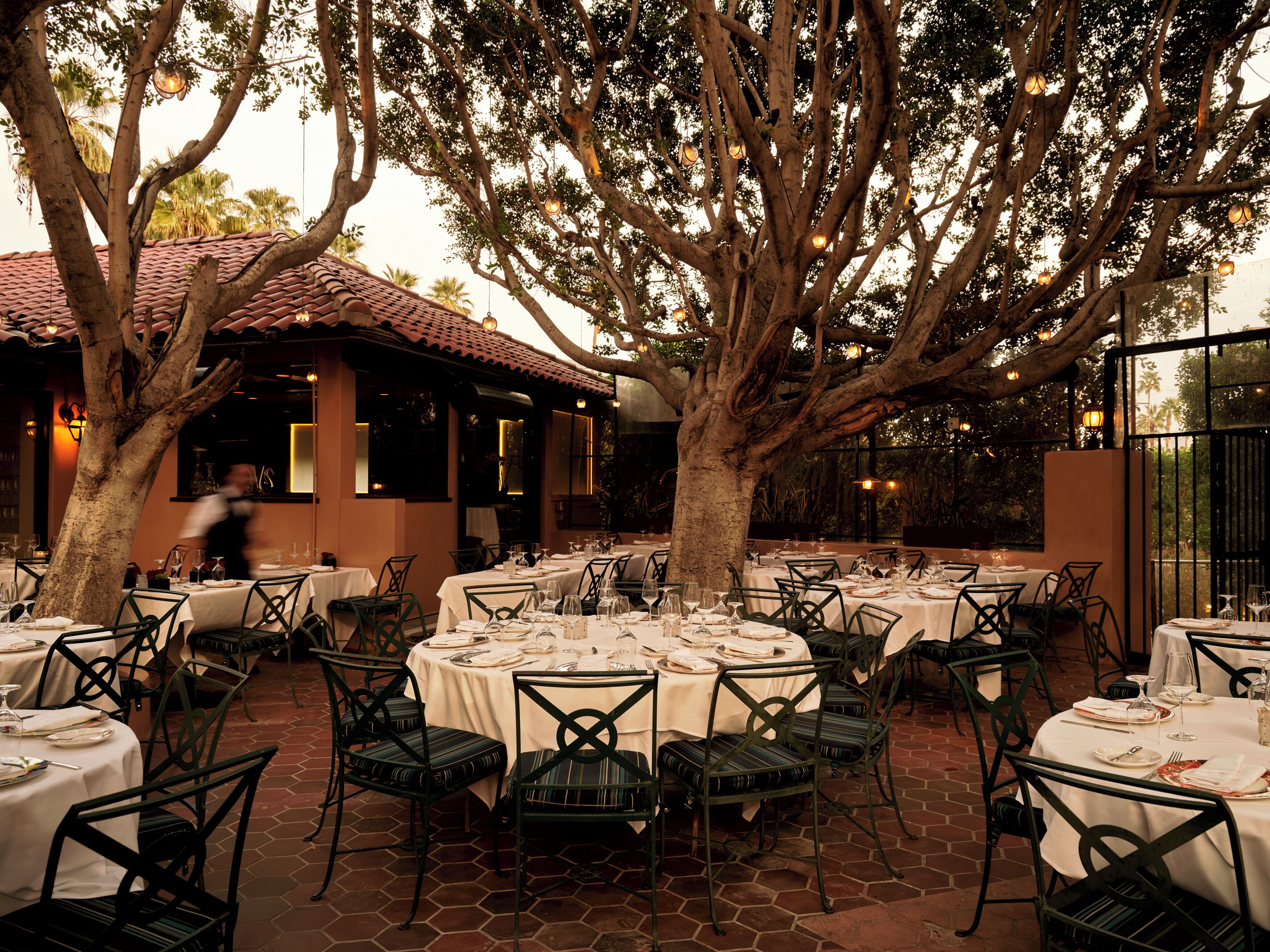 Photo - The Willows Palm Springs
