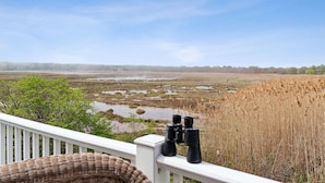 A view from a balcony overlooking a wetland area with binoculars on the railing. - Coastal Dream Vacation Home at Moody Beach - Sleeps 8 (Wells)
