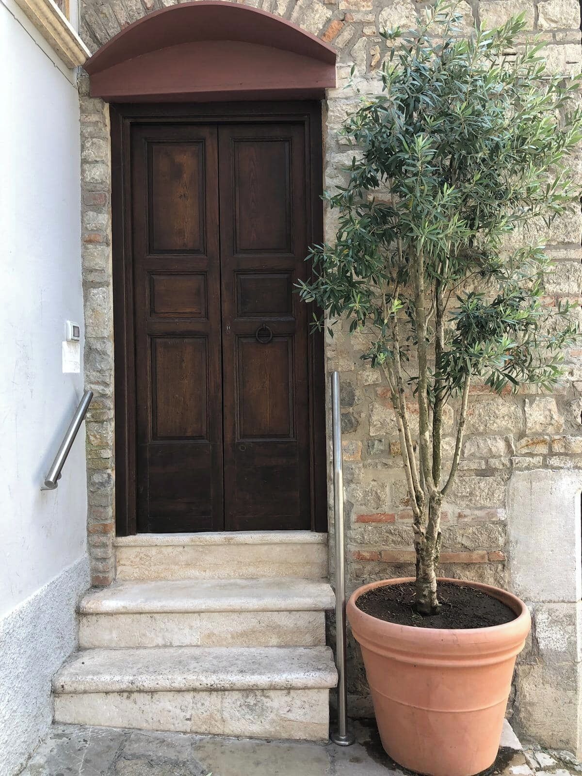 A dark wooden door with a stone wall, a potted tree, and a metal handrail.
