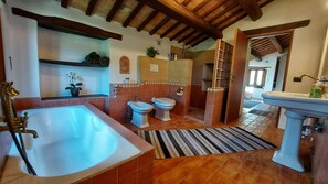 Shower, hair dryer, bidet, towels