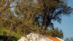 A small white building with a tiled roof, a wooden bench, and a wooden chair outside. - Rosemary House (Santiago do Cacém)