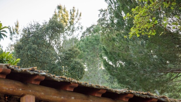 A rustic outdoor seating area with a stone wall backdrop, wooden beams, and a thatched roof. - Rosemary House (Santiago do Cacém)