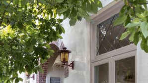 An outdoor patio with a white table and chairs, surrounded by potted plants and a cobblestone path. - Magnolia Tree - One Bedroom Apartment, Sleeps 2 (Bergen)