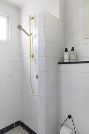 Shower, hair dryer
