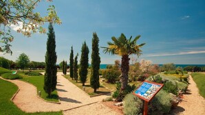 A landscaped garden with a gravel path, cypress trees, and a palm tree.