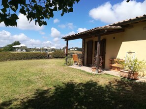 المنطقة المحيطة بالمنشأة