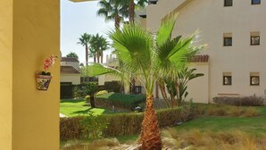 A courtyard with a palm tree, a yellow wall, and a building with multiple windows. - 2 Bed Apt-easy Access to Pool-mar Menor Nearby (San Javier)