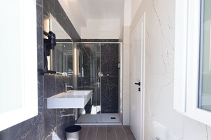 Shower, hair dryer, bidet, towels
