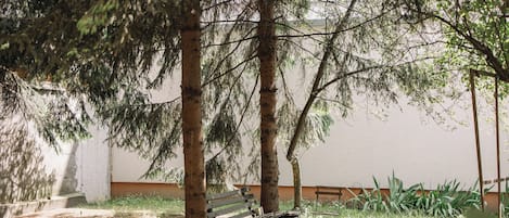 Shared Dormitory, Women only, Shared Bathroom, Courtyard View | Terrace/patio