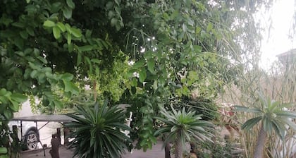 Ngami Gates Boutique Guesthouse : Standard Double Room