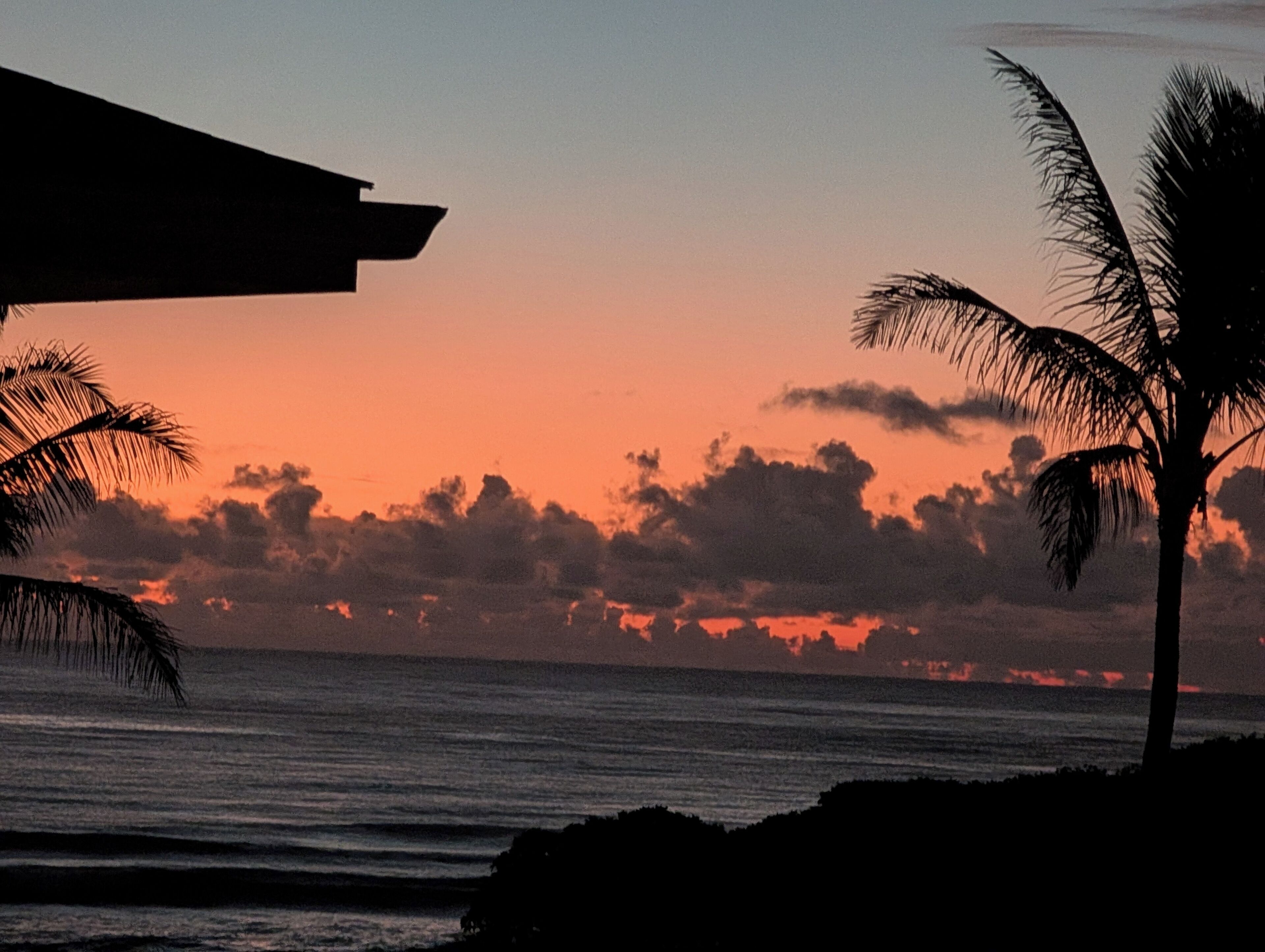 Ein Sonnenuntergang über dem Meer, wobei Palmen am Himmel silhouettiert sind.