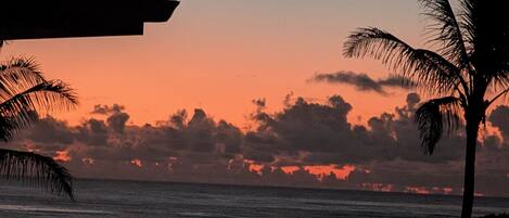 Ein Sonnenuntergang über dem Meer, wobei Palmen am Himmel silhouettiert sind.