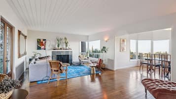 TV, fireplace, books