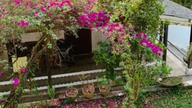 Ein Haus mit Balkon, das auf einen Garten mit rosa Blumen und einen Sonnenuntergang im Hintergrund blickt.
