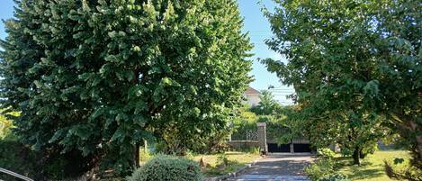 Área da propriedade