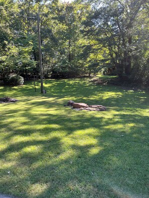 Property grounds - Family Seneca Stay - 4mi to Clemson Memorial Stadium (Seneca)