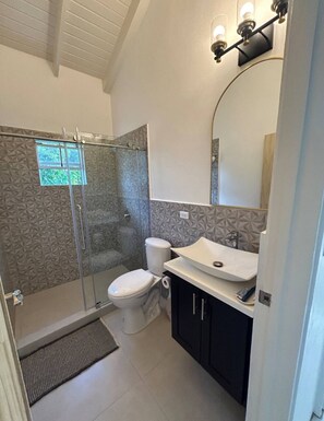 A bathroom with a shower, toilet, sink, and a mirror.