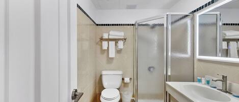A modern bathroom with a toilet, a glass-enclosed shower, and a sink with a mirror.