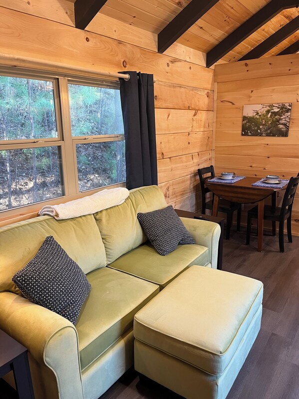 TV connectée, cheminée, livres