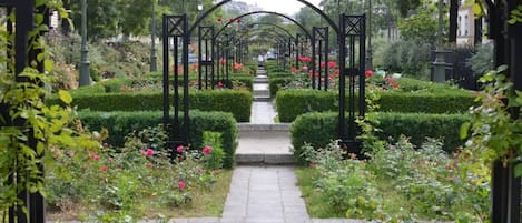 Terrein van de accommodatie