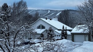 Una casa con techo nevado, rodeada de árboles y un paisaje invernal.